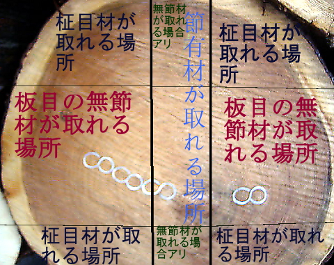 杉丸太の中で柾目板が取れる場所の説明