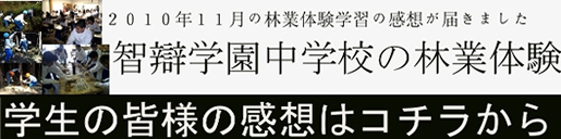 林業体験学習の感想